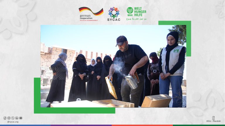 Practical training for women on beekeeping